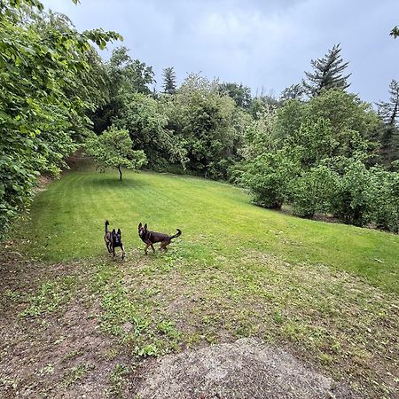 Bnb Dog And Friend Rocchetta Tanaro ภายนอก รูปภาพ