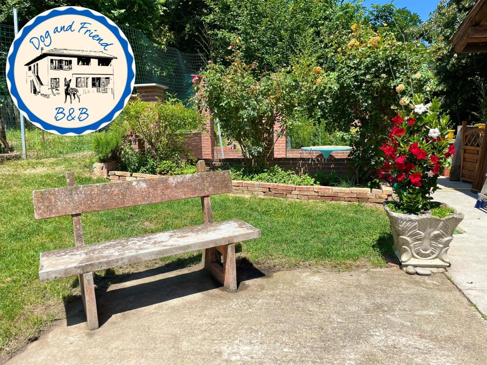 Bnb Dog And Friend Rocchetta Tanaro ภายนอก รูปภาพ