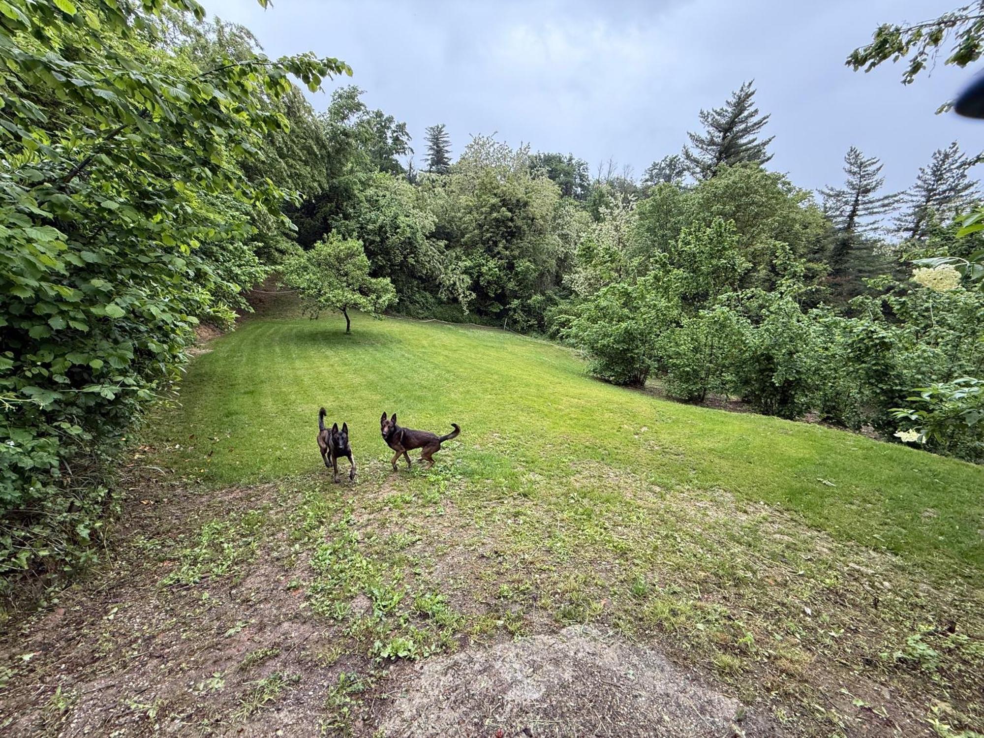 Bnb Dog And Friend Rocchetta Tanaro ภายนอก รูปภาพ